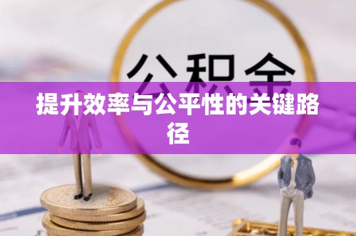 玛多提升效率与公平性的关键路径