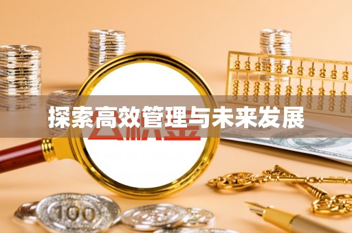 玛多探索高效管理与未来发展