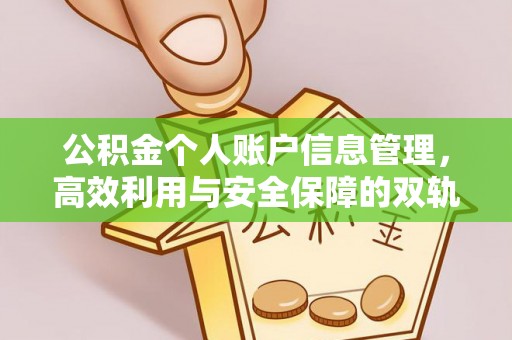 玛多公积金个人账户信息管理，高效利用与安全保障的双轨并行