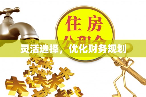 玛多灵活选择，优化财务规划