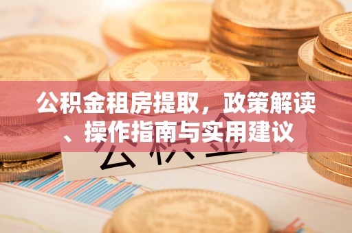 玛多公积金租房提取，政策解读、操作指南与实用建议