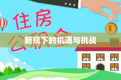 玛多新规下的机遇与挑战