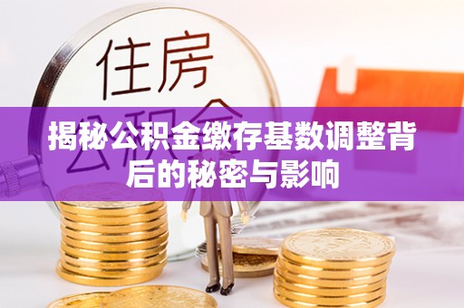 玛多揭秘公积金缴存基数调整背后的秘密与影响