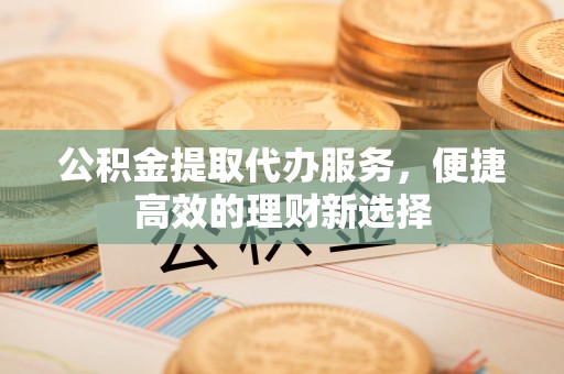 玛多公积金提取代办服务，便捷高效的理财新选择