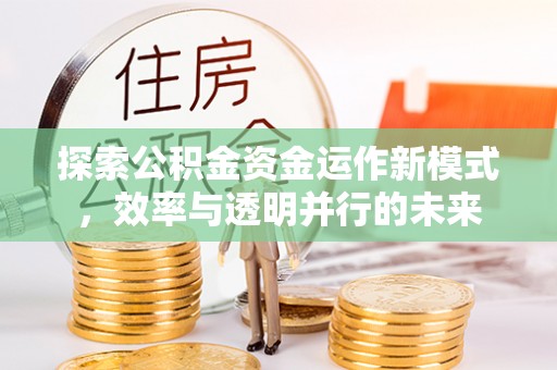 玛多探索公积金资金运作新模式，效率与透明并行的未来