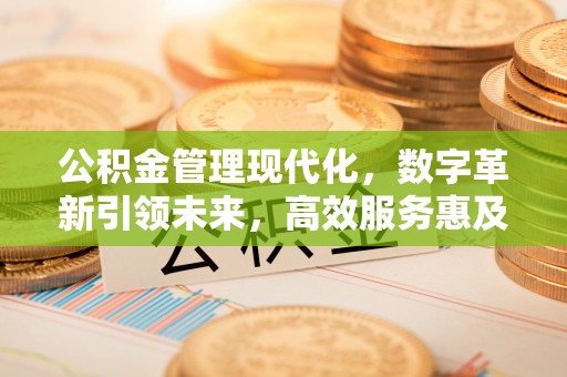 玛多公积金管理现代化，数字革新引领未来，高效服务惠及民生
