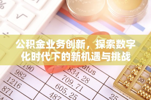 玛多公积金业务创新，探索数字化时代下的新机遇与挑战