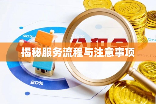 玛多揭秘服务流程与注意事项