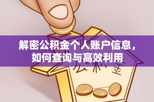 玛多解密公积金个人账户信息，如何查询与高效利用