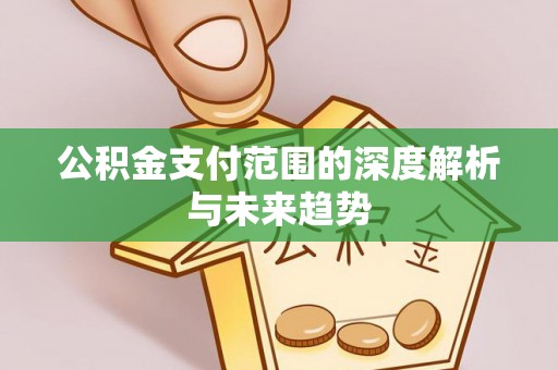玛多公积金支付范围的深度解析与未来趋势