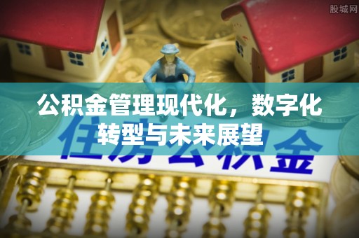 玛多公积金管理现代化，数字化转型与未来展望
