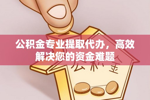 玛多公积金专业提取代办，高效解决您的资金难题