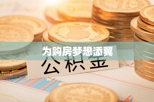 玛多为购房梦想添翼