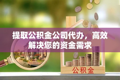 玛多提取公积金公司代办，高效解决您的资金需求