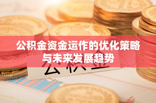 玛多公积金资金运作的优化策略与未来发展趋势