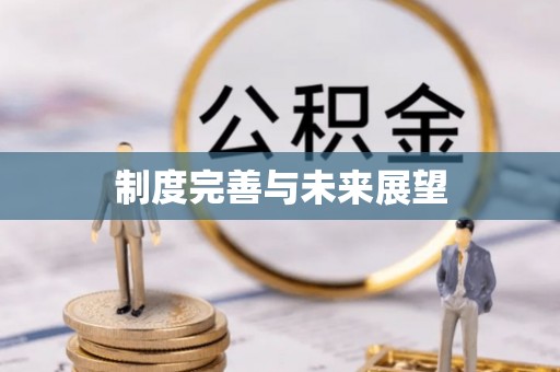玛多制度完善与未来展望
