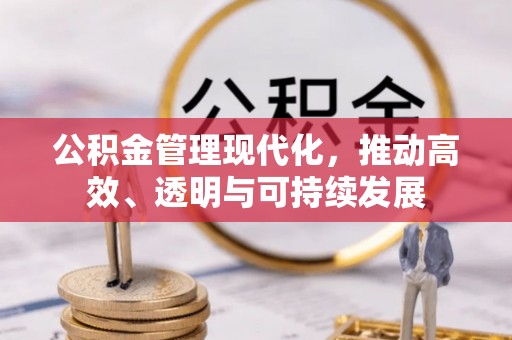 玛多公积金管理现代化，推动高效、透明与可持续发展