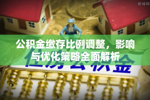 玛多公积金缴存比例调整，影响与优化策略全面解析
