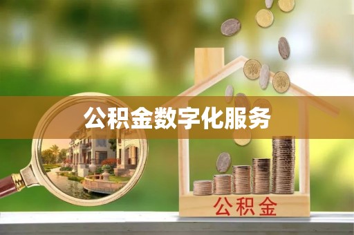 玛多公积金数字化服务