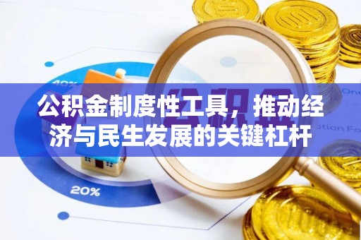 玛多公积金制度性工具，推动经济与民生发展的关键杠杆
