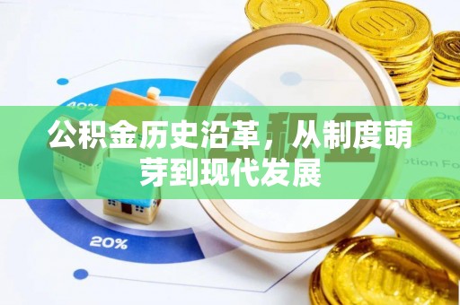 玛多公积金历史沿革，从制度萌芽到现代发展