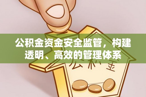 玛多公积金资金安全监管，构建透明、高效的管理体系