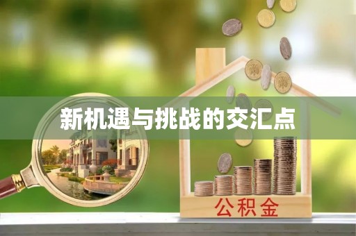 玛多新机遇与挑战的交汇点
