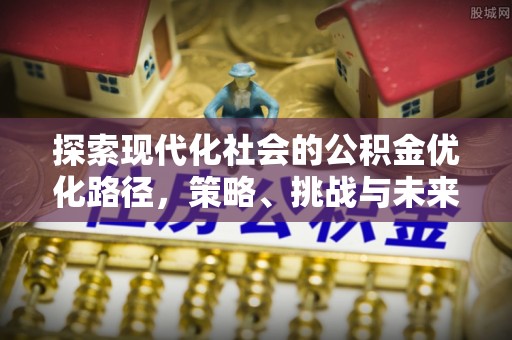 玛多探索现代化社会的公积金优化路径，策略、挑战与未来展望
