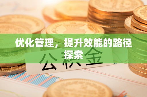 玛多优化管理，提升效能的路径探索