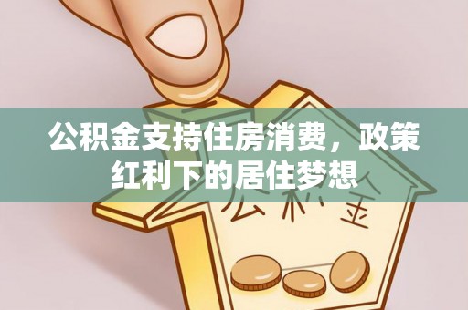 玛多公积金支持住房消费，政策红利下的居住梦想