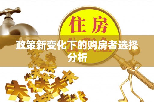 玛多政策新变化下的购房者选择分析
