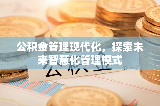 玛多公积金管理现代化，探索未来智慧化管理模式