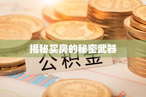 玛多揭秘买房的秘密武器