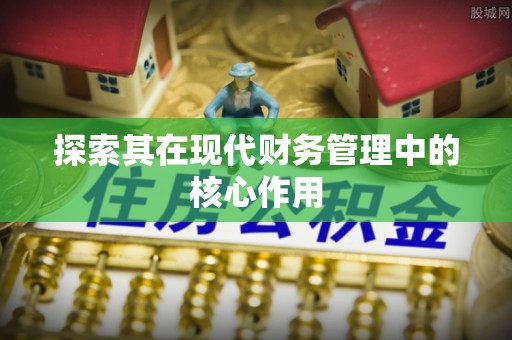 玛多探索其在现代财务管理中的核心作用