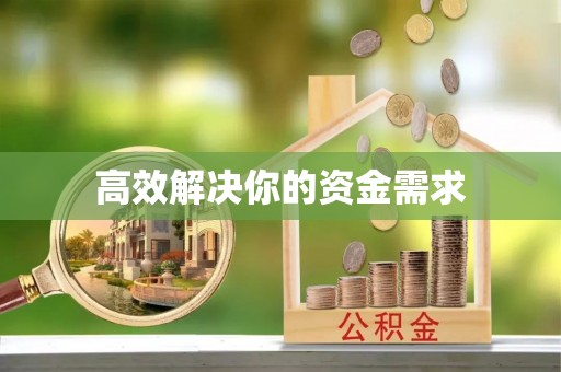 玛多高效解决你的资金需求