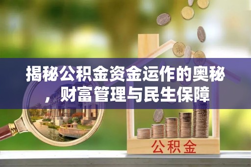 玛多揭秘公积金资金运作的奥秘，财富管理与民生保障