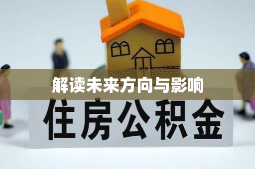 玛多解读未来方向与影响