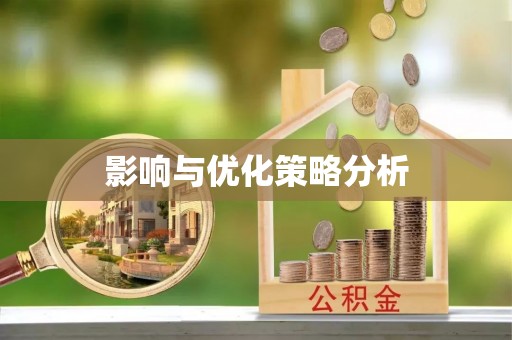 玛多影响与优化策略分析