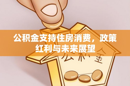 玛多公积金支持住房消费，政策红利与未来展望