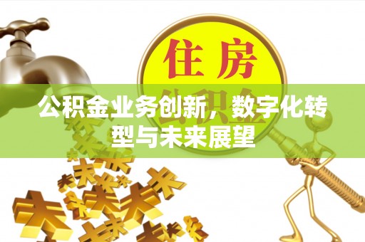 玛多公积金业务创新，数字化转型与未来展望