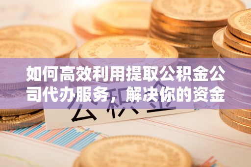 玛多如何高效利用提取公积金公司代办服务，解决你的资金难题