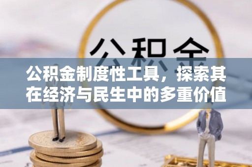 玛多公积金制度性工具，探索其在经济与民生中的多重价值