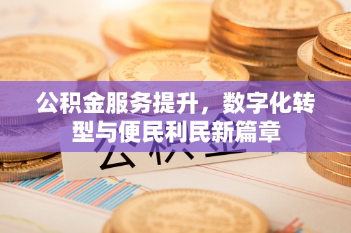 玛多公积金服务提升，数字化转型与便民利民新篇章