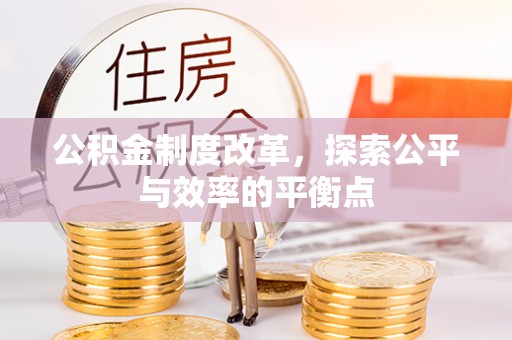 玛多公积金制度改革，探索公平与效率的平衡点
