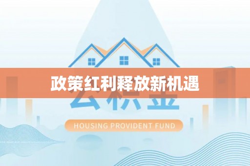 玛多政策红利释放新机遇