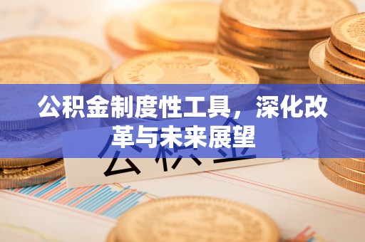 玛多公积金制度性工具，深化改革与未来展望
