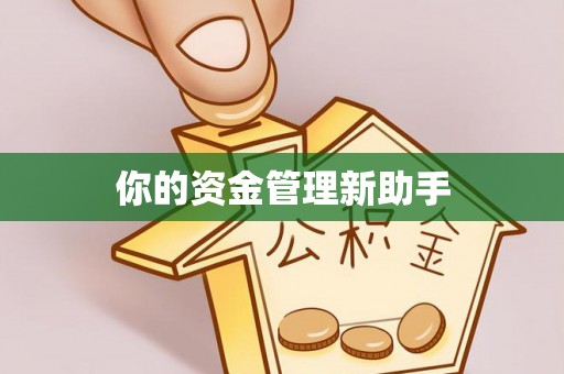 玛多你的资金管理新助手