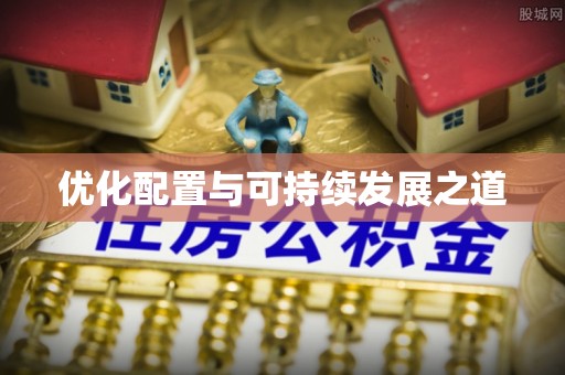 玛多优化配置与可持续发展之道
