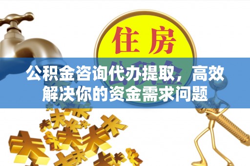 玛多公积金咨询代办提取，高效解决你的资金需求问题