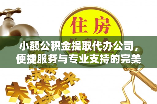 玛多小额公积金提取代办公司，便捷服务与专业支持的完美结合